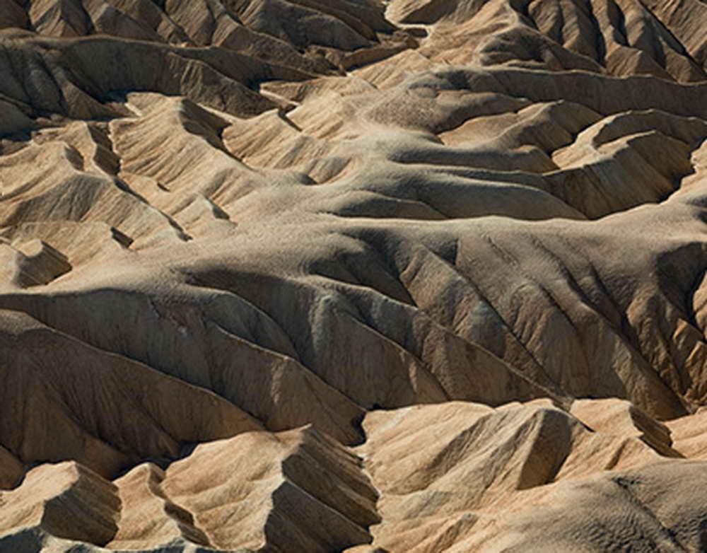 Сельхозпредприятия Брянской области завершили заготовку кормов