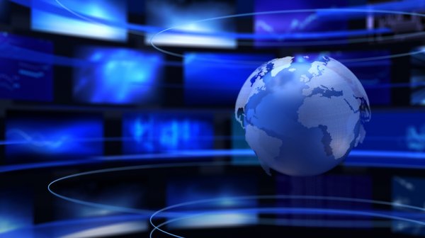 Испуганному 10-летнему брянцу из-за укуса собаки выплатят 40 тысяч рублей