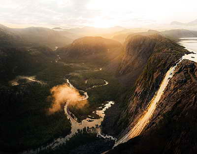 4 причины завести беспородную собаку