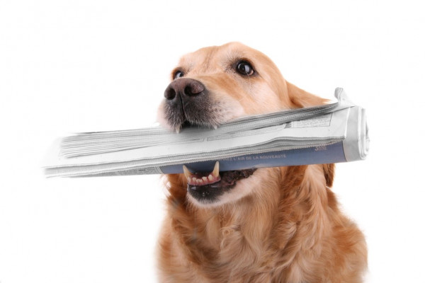 Разочарован собой: Рублёв сенсационно вылетел в третьем круге Ролан Гаррос