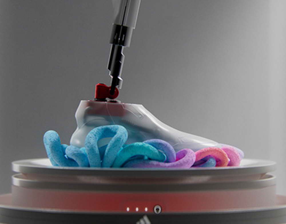 На острове Русский в Приморье спасли потерявшегося больного тюленёнка